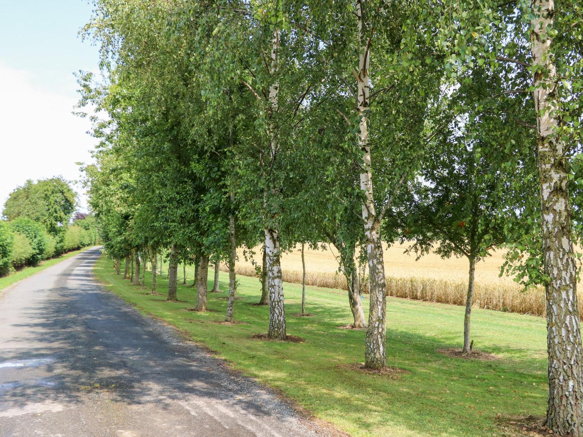 Heathcliff Villa Northallerton Dış mekan fotoğraf